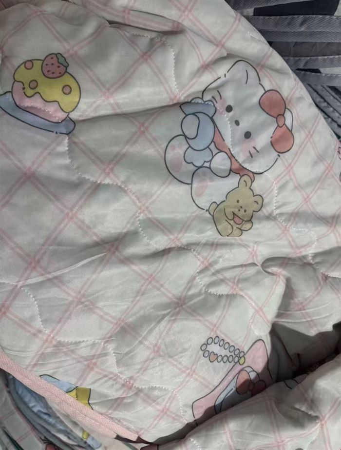 3000 pcs summer quilts size 200*230 packs 100 pcs